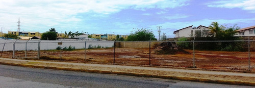 Imagen 3 de 8 de Terreno En Venta
