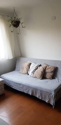 Imagem 5 de 19 de Apartamento Ótima Localização Bem Arborizada