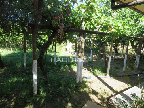 Imagen 2 de 24 de Agrícola En Venta En Maule