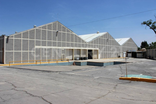 Bodegas En Venta 50,000 M2, Complejo Cerca Autopista Mex-pue, Tlaxcala