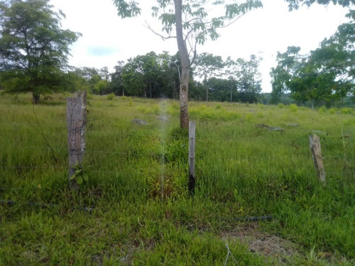 Imagen 22 de 23 de Cf. Se Vende Finca En La Fría, Cerca De La Termoeléctrica