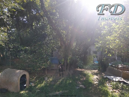 Imagem 6 de 12 de Chácaras À Venda Em Mairiporã/sp - Compre O Seu Chácaras Aqui! - 1495791