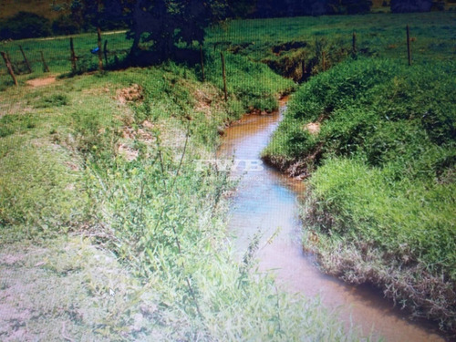 Imagem 15 de 28 de Fazenda Em Rio Preto Minas Gerais - 2044007423 - 67629041