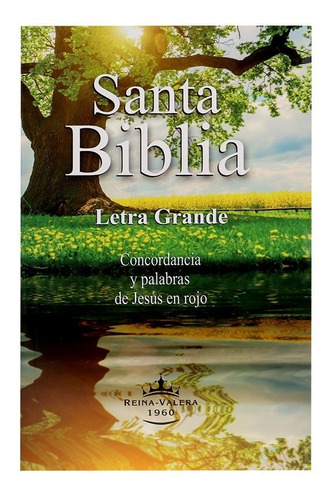 Imagen 1 de 10 de Biblia Reina-valera 1960 Letra Grande Tapa Rústica A Colores
