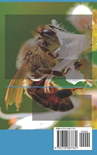 Apiterapia A-bee-z Prontuario De Bolsillo: Prontuario De Bolsillo, De Asís, Moisés., Vol. 1. Editorial Independently Published, Tapa Blanda En Español, 2019