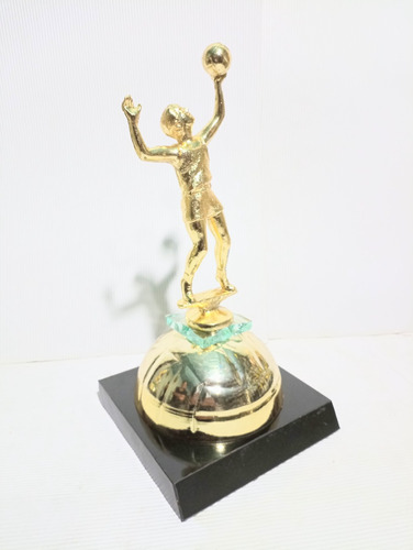 Trofeo De Voleibol 41 Cm Altura