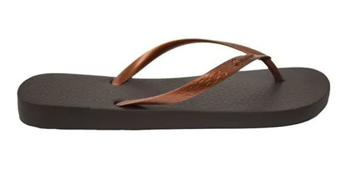 Imagen 2 de 6 de Ojotas Ipanema Clasicas Tan Marron Cobre 5326