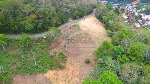 Imagem 13 de 15 de Lotes Exclusivos No Cônego - Lote 13 - 232