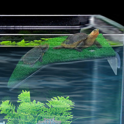 De Descanso Para Tortugas, Rampa De Tortugas De