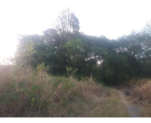 Imagem 9 de 11 de Vende Terreno Br101 Norte - Te0167