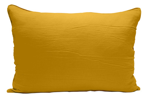 Almohadon Tusor 50x70 Local Caballito Envios T/pais.