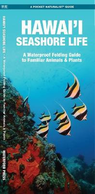 Libro Hawai'i Seashore Life : A Folding Pocket Guide To F...