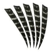 12 Plumas De Pavo Shield Cut De 5 (tipo Aguila)