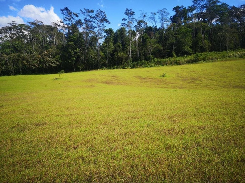 Imagen 8 de 9 de Lote De 5000 M²