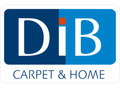 DIB Chile