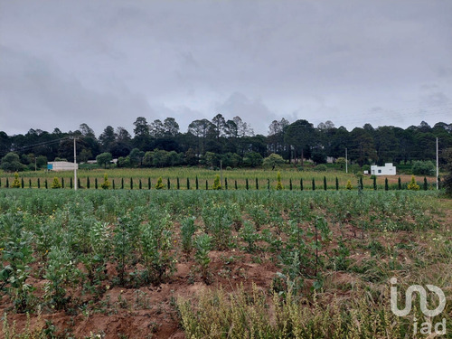 Venta Terreno 0 Ambiente Tecocomulco De Juárez