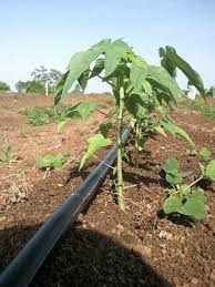 Manguera De Polietileno Hdpe De 63mm X 100mt