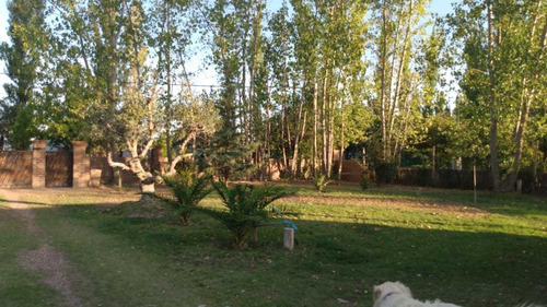 Imagen 3 de 14 de San Rafael Mendoza Excelente Propiedad