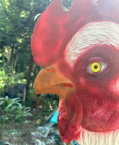 Máscara De Látex Para Disfraz De Gallo, Máscara De Animal, C