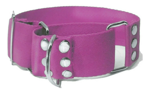 Collar Martingale Perro Fuerte Ajustable Reforzado Galgo