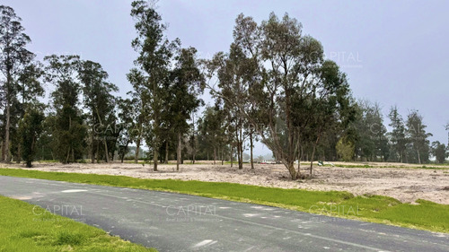 Terreno En Venta En Barrio Privado La Cañada - Distrito 52