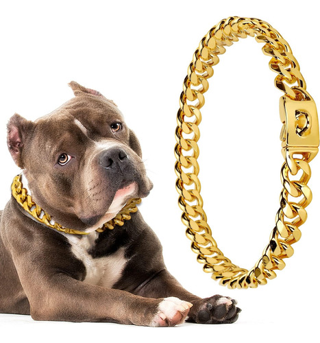 Collares De Cadena De Perro De Oro Collar De Perro De Cadena