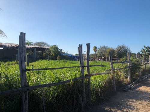 Imagen 13 de 16 de Terreno En Venta En Puerto Progreso, Yucatán
