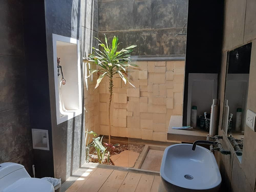 Imagen 5 de 10 de En Venta Casa De Campo Paraguana / En Buenas Manos
