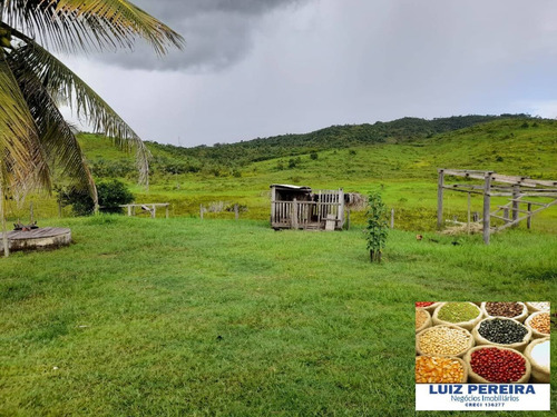 Imagem 13 de 14 de Fazenda À Venda Em Anapu - Pa - De 400 Alqueirões (pecuária) - 1661