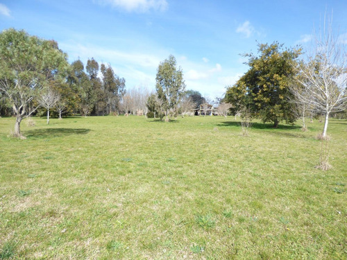 Imagen 5 de 30 de Quinta En Arturo Segui Calle 403 E/ 139 Y 141 La Catalina Dacal Bienes Raices