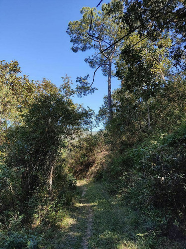 Imagen 8 de 12 de Terreno En Venta Los Pinares El Tuito