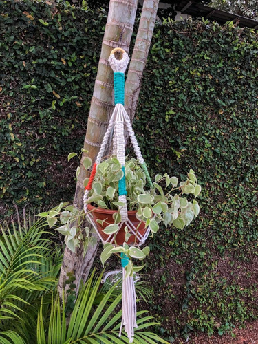 Suporte De Plantas