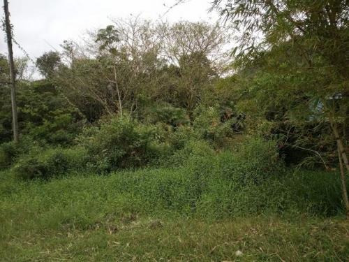 Imagem 3 de 3 de Terreno De 1000 Metros Com Escritura Em Itanhaém Litoral Sul