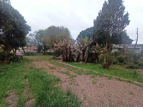 Imagem 8 de 9 de Terreno À Venda, 600 M² Por R$ 600.000,00 - Cajuru - Curitiba/pr - Te0108