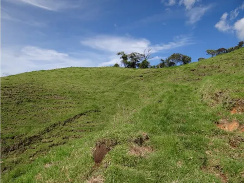 Finca En Venta La Unión Via Abejorral Antioquia. 83 Hectareas