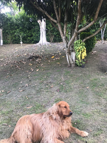 El Mejor Lugar Para Relajarse. Temperadero Con Cabaña