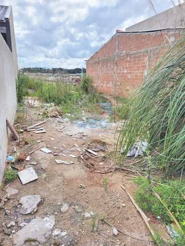 Imagem 3 de 12 de Terreno 06m X 20m, Disponível Para Venda No Bairro Nações, Em Fazenda Rio Grande. - Te00152 - 70764731