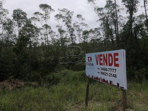 Imagem 5 de 5 de Terreno Comercial - Vila Sao Jorge - Ref: 30111 - V-30109