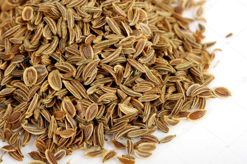 Endro Erva Seca Para Chá 100 Gr