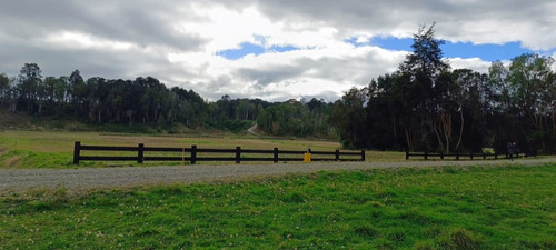 Se Venden Parcelas Con Acceso A Río, Riberas Del Maullín