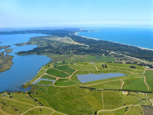 Imagen 3 de 9 de Terreno En Laguna De Los Cisnes, Punta Ballena - Laguna De Los Cisnes