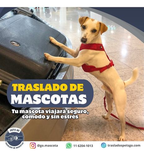 Traslado De Mascotas Terrestre Y Aéreo.