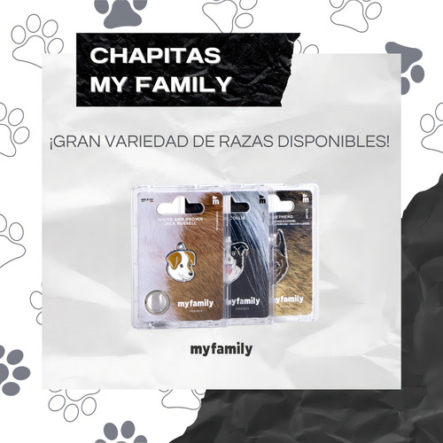 Emblema de cachorro marrom gravado com salsicha My Family Friends
