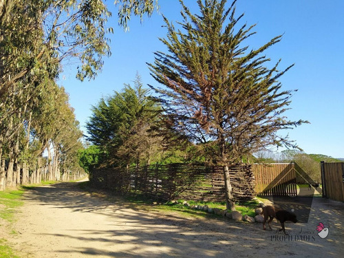 Las Gaviotas, Quintero, 2d 2b, 120//800m