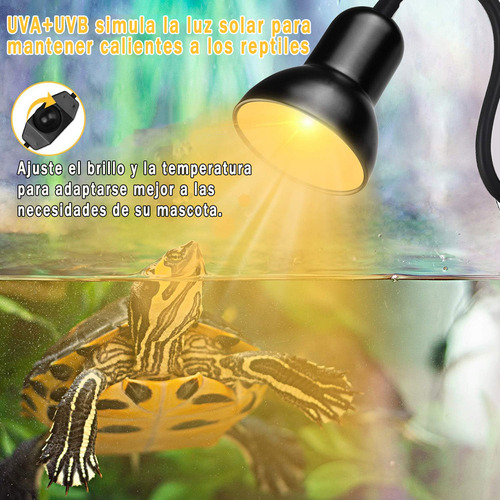Lámparas De Calor Para Tortuga Reptiles Uva+ Uvb,2 Bombillas