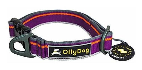 Ollydog Collar De Viaje Urbano, Collar De Perro Rh16f