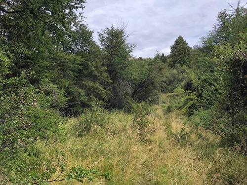 Imagen 3 de 7 de Oportunidad! Fabienne Edelberg Fe Propiedades Vende Fraccion Iv Excepcional Lote 3950 M2 Meliquina. Oportunidad!!