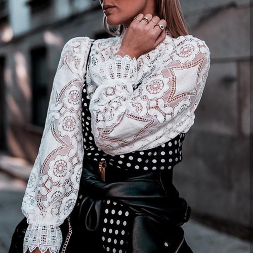 Blusa Transparente De Encaje Con Cuello Alto Y Manga Larga P