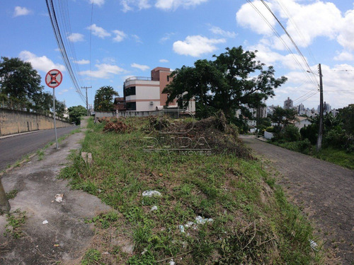 Imagem 2 de 2 de Terreno - Cruzeiro Do Sul - Ref: 30358 - V-30356