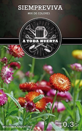 Imagen 1 de 5 de Semillas Siemprevivas O Flor De Papel X Sobre A Toda Huerta
